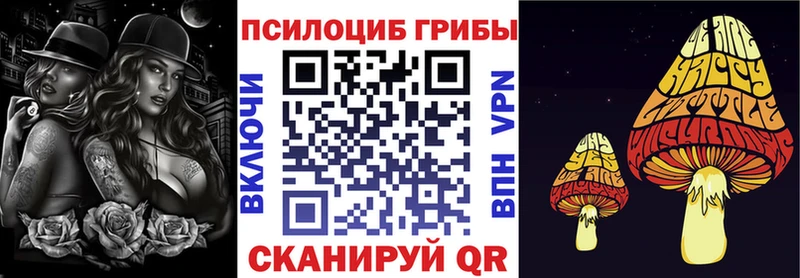 Псилоцибиновые грибы Psilocybine cubensis Правдинск