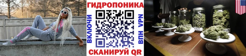 Бошки Шишки ГИДРОПОН  блэк спрут ссылка  Правдинск 